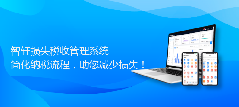 损失税收管理系统